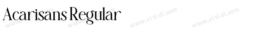 Acarisans Regular字体转换